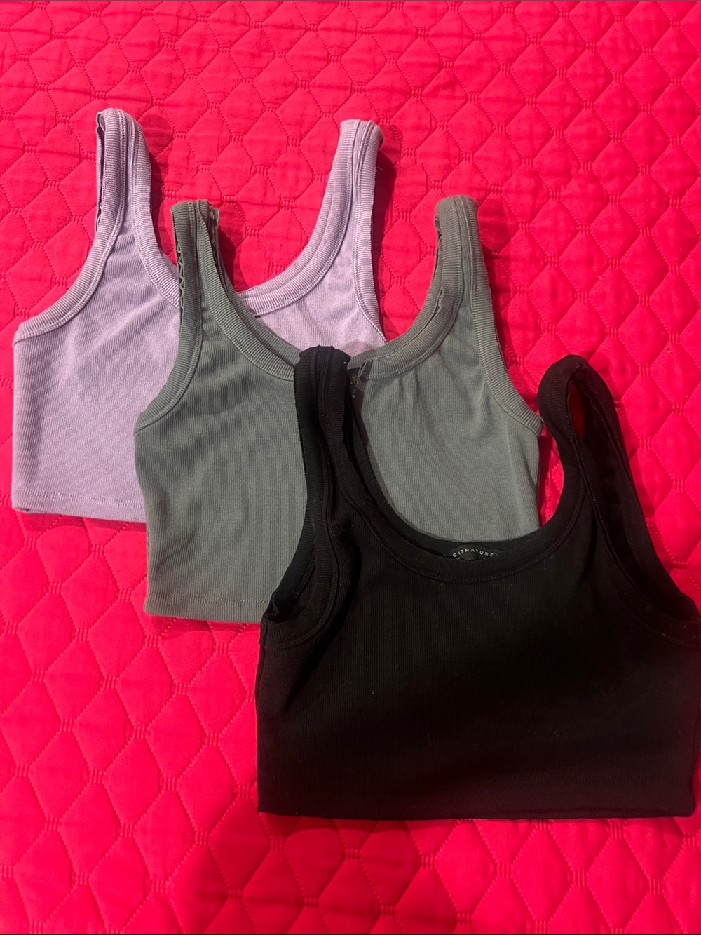 Signature8 Ribbed Cropped Tank Tops - Black, Olive, Lavender